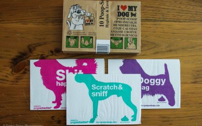 Best Environmentally Friendly Dog Products for 2018