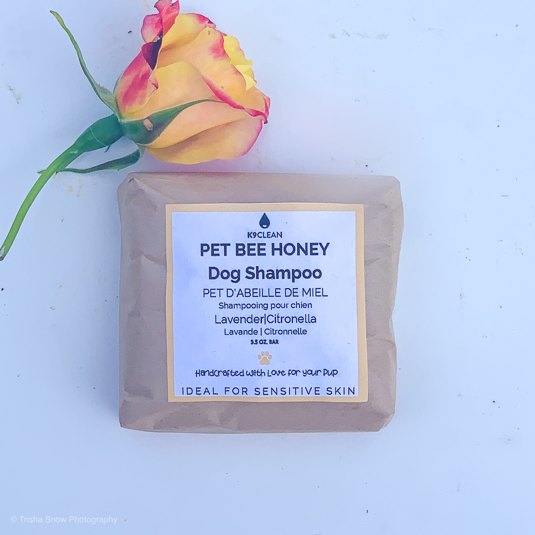 Gentle Dog Shampoo | Pet Bee Honey Zero Waste Dog Shampoo