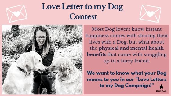 Love Letter to My Dog Contest