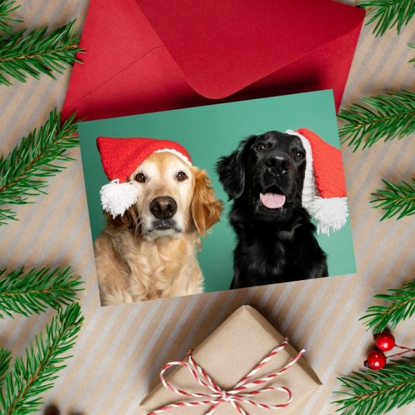 Holiday Cards Golden Retriever and Flat Coat Retriever Puppies