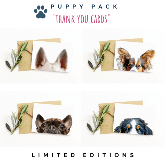 Puppy Pack Thank You cards